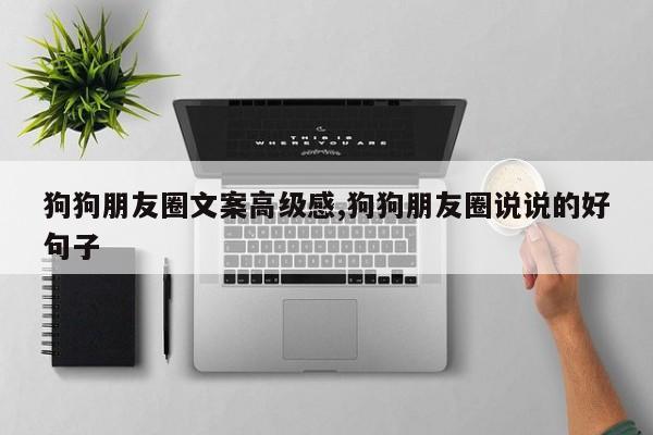 狗狗朋友圈文案高级感,狗狗朋友圈说说的好句子